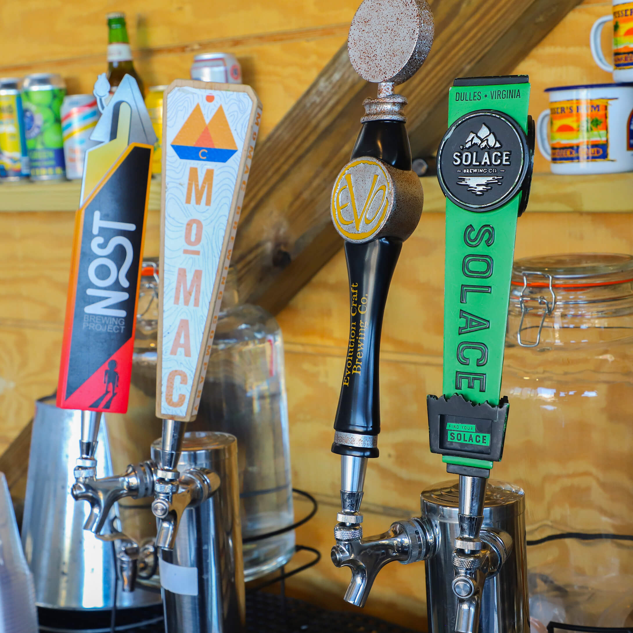 Beers on Tap June 2024